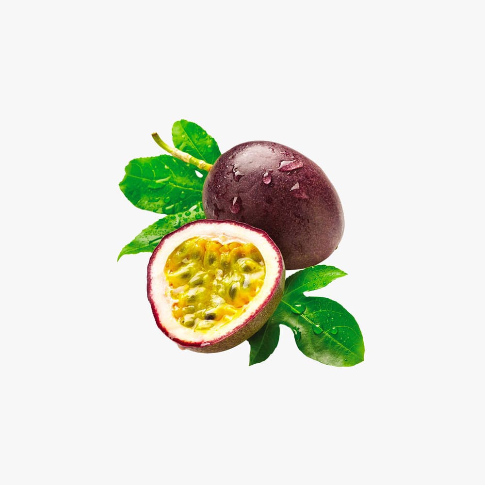 Fusce fermentum
